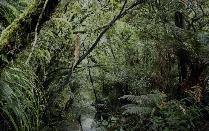 Wildlife Act Changes