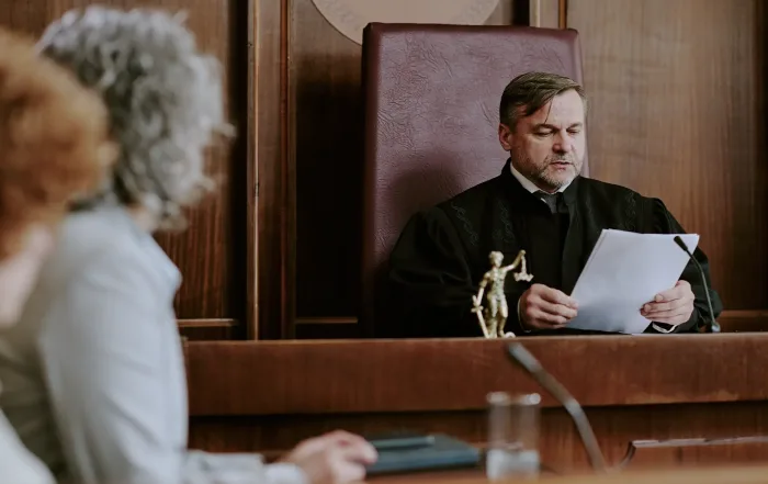 summary judgement lawyer auckland