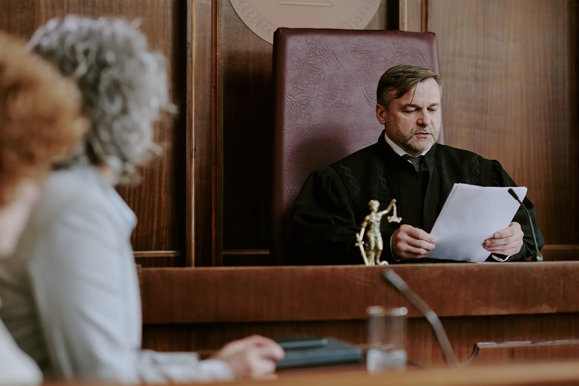 summary judgement lawyer auckland