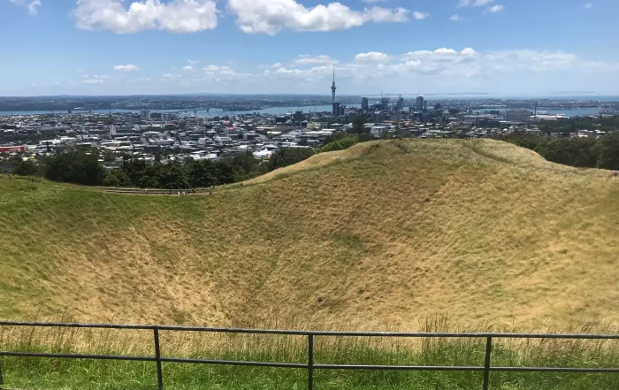 Auckland Council Mt Eden High Density Housing Plans