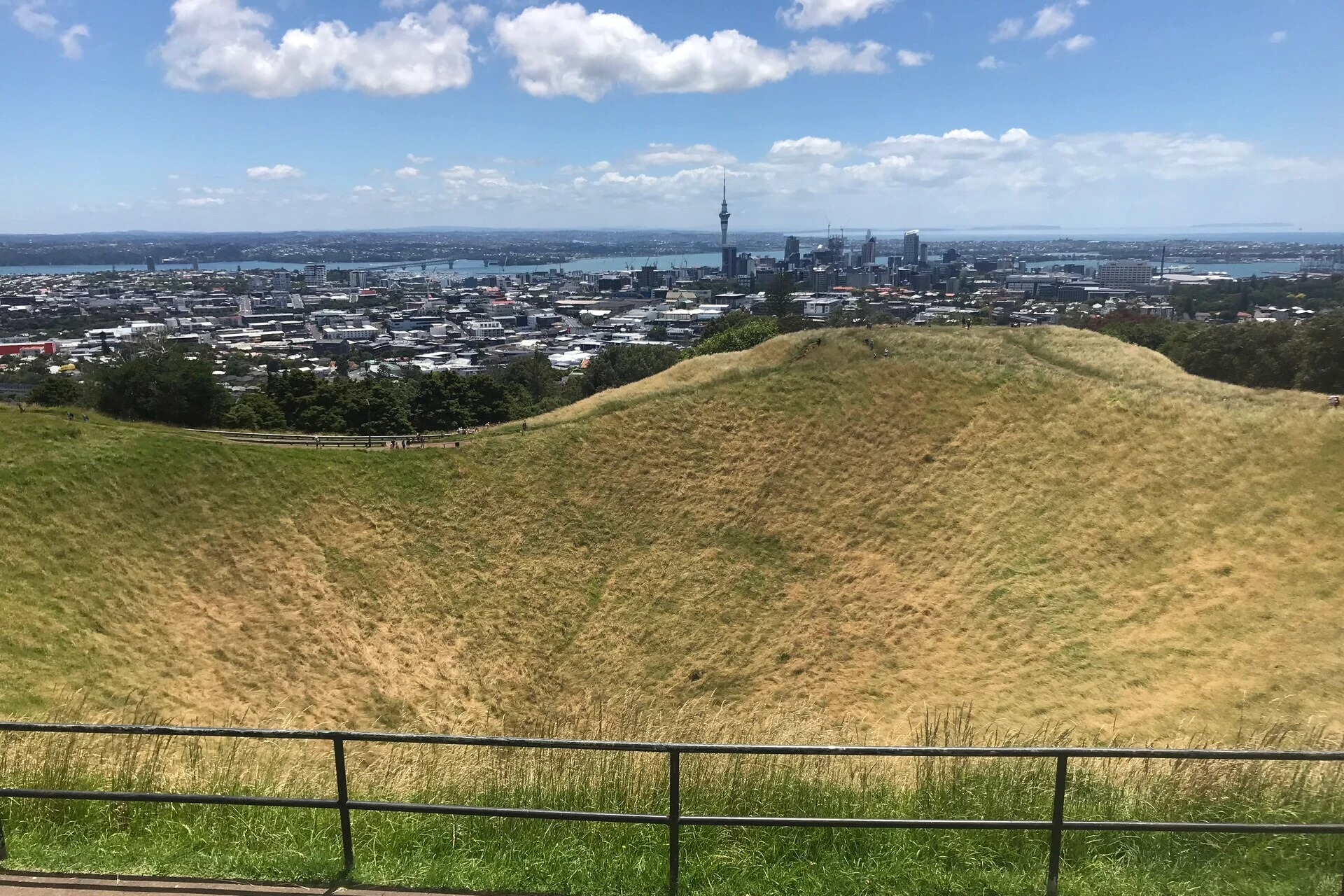 Auckland Council Mt Eden High Density Housing Plans