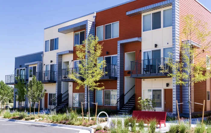 auckland council housing intensification
