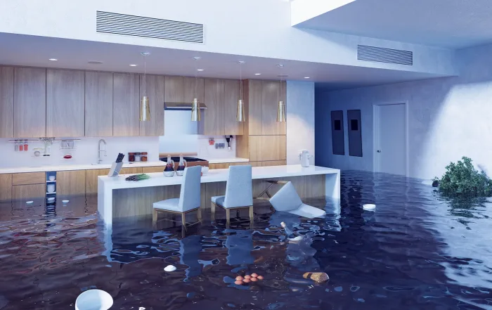 Auckland Council dispute flood buyout