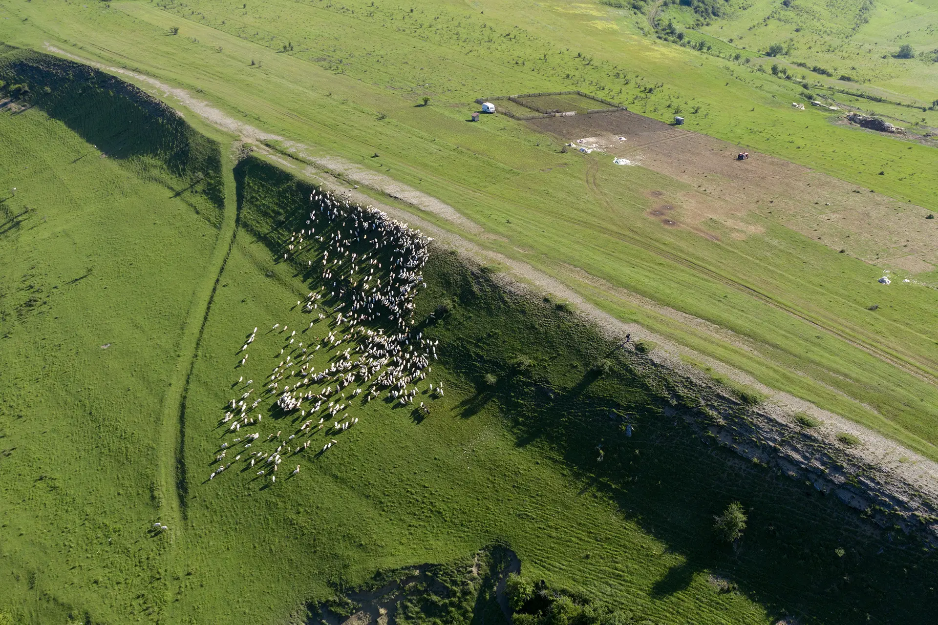 When Assumptions Displace Due Diligence in Property Transactions