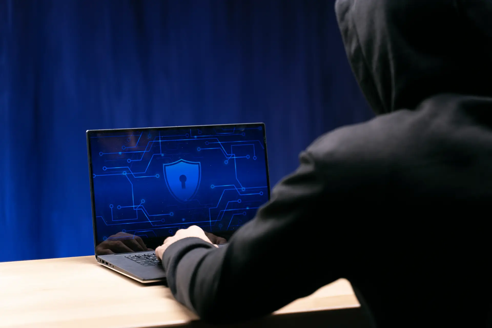 Identity fraud legal support